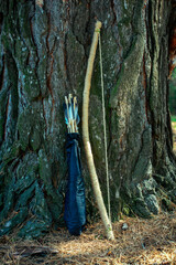 tree, young, spring, early spring, coniferous forest, hunting, archer, hunting in the forest, archer in the forest