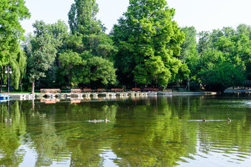 Lake, green trees and grass in a sunny summer day in Cismigiu Garden in Bucharest, Romania .