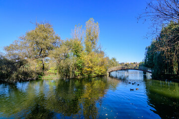 Landscape with grey old bridge and many large green and yellow old trees near the lake in a sunny autumn day in Tineretului Park in Bucharest, Romania .