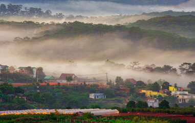 landscape with fog