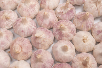 Group of garlic isolated on a white background.