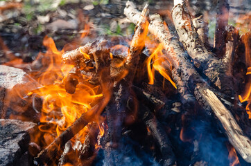 Open fire. A fire made of wooden firewood for cooking shish kebab