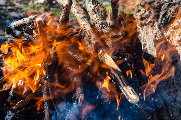Open fire. A fire made of wooden firewood for cooking shish kebab