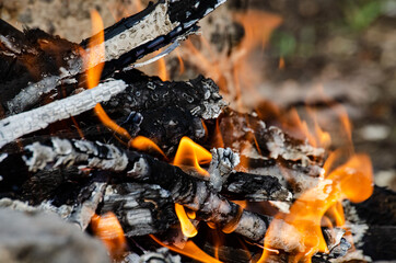 Open fire. A fire made of wooden firewood for cooking shish kebab