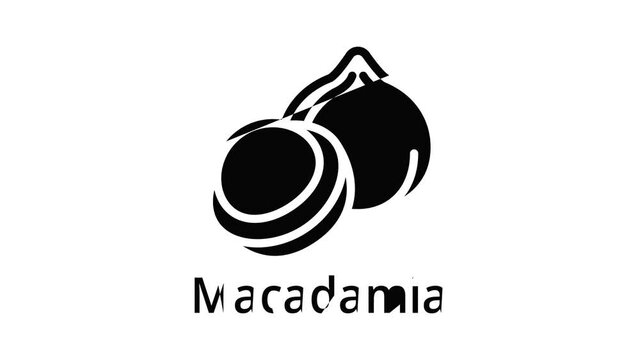 Macadamia icon animation outline best object on white background