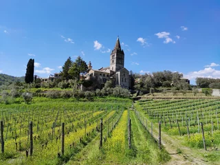 Crédence en verre imprimé Ligurie vineyard in Liguria, San Salvatore di Cogorno, Italy