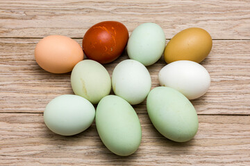 Eier von Hühnern verschiedener Rassen