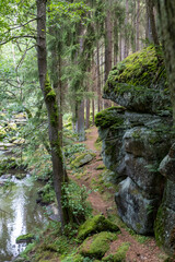 große Felsen im Steinwald entlang der Waldnaab