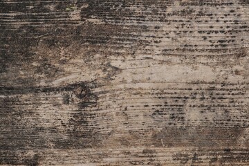 Wooden rough timber old aged. panel texture.