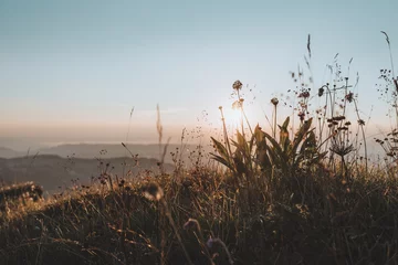 Acrylglasbilder Sommerbergwiese im Allgäu zum Sonnenuntergang © runner77