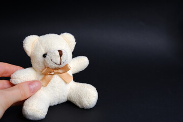 Teddy white bear on a black background