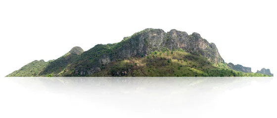 Stoff pro Meter panorama mountain with tree isolate on white background © lovelyday12