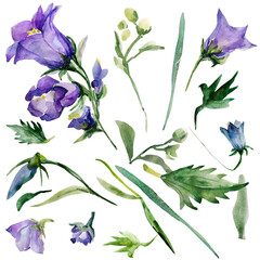 Pattern of spring flowers.Image on a white and colored background.