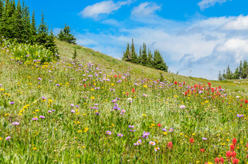 Beautiful landscape of valley in Alpine mountains, small trail, hike root, majestic picturesque view in sunny day