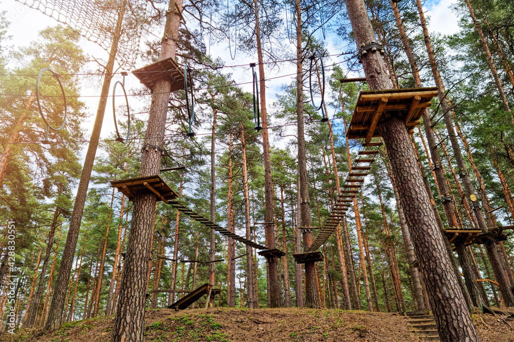 Wall mural rope obstacle track high in the trees in adventure park