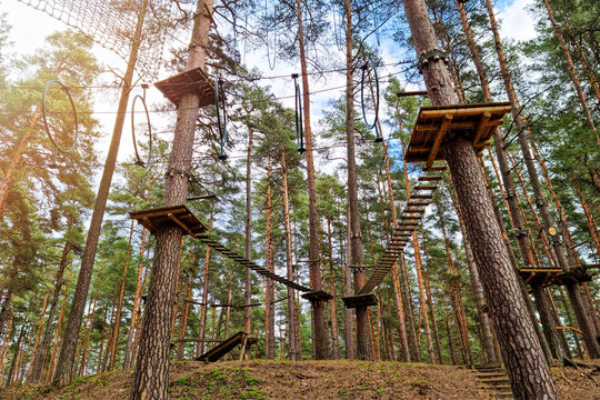 Fototapeta rope obstacle track high in the trees in adventure park