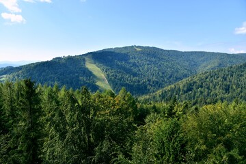 Obraz premium góra Jaworzyna Krynicka, Krynica Zdrój, Słotwiny