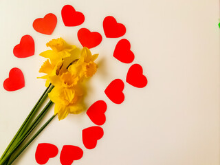 Bouquet of daffodils on a White background with copy space for text. 