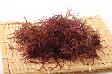 Fototapeta premium 乾燥赤のり