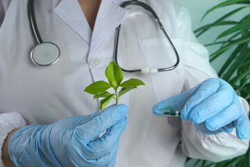 woman scientist prepares a sample of a leaf for analysis in a university laboratory, studies plant...