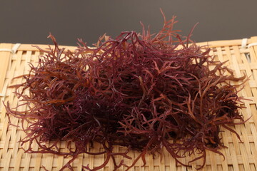 Fototapeta premium 乾燥赤のり