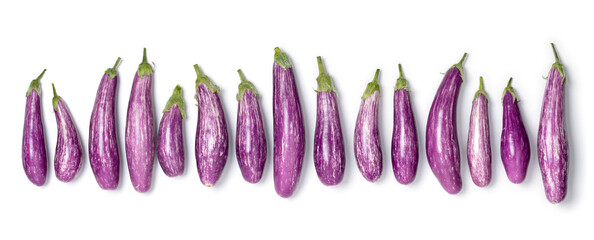 Fresh raw organic purple mini eggplants in a row isolated on white background  - obrazy, fototapety, plakaty