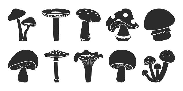 Cartoon vector mushrooms clipart, doodle icon set. Black silhouettes isolated on white background. Nature illustration
