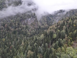 Абхазия ,пейзажи