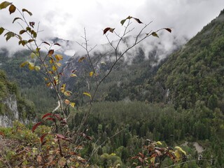 Абхазия ,пейзажи