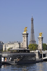 Fototapeta na wymiar Paris vue de la Seine