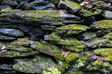 stone wall with moss