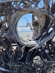 South Carolina beach driftwood with naturally occurring hole through which you can see the Atlantic Ocean.