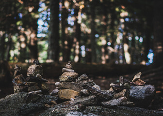 Piles of rocks in forest