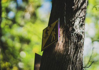 sign on a tree