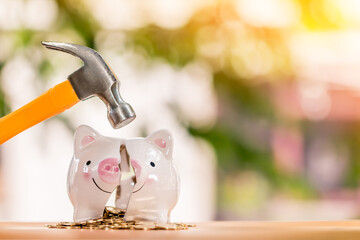 A man with a hammer used above broken piggy bank with money on bokeh background in the public park, Loan and debt of close account of business concept
