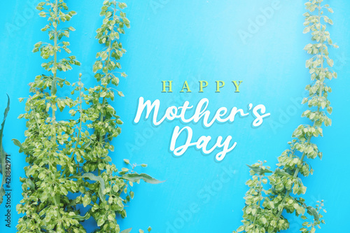 Mother's day background with green plant on blue backdrop for spring holiday with text as graphic element.