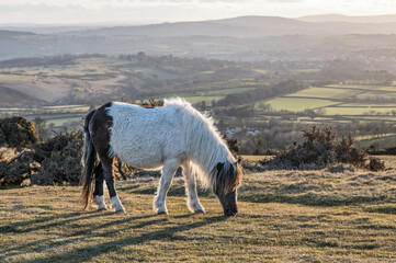 Sun setting over Dartmoor