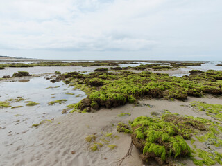 Île de Ré dans le Golfe de Gascogne. Littoral sauvage Nord-Ouest à marée basse le long de la pointe rocheuse Saint-Clément-des-Baleines face à l'Atlantique