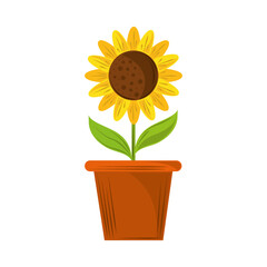 potted sunflower decoration
