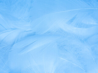 Fototapeta na wymiar Beautiful abstract blue feathers on white background, white feather texture and blue background, feather wallpaper, blue texture banners, love theme, valentines day, light blue texture, white gradient
