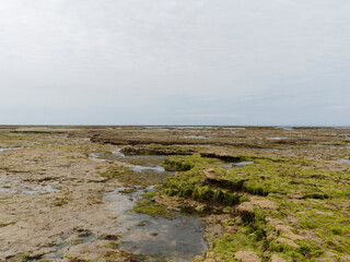 Fototapeta na wymiar Île de Ré dans le Golfe de Gascogne. Littoral sauvage à marée basse le long de la pointe rocheuse Saint-Clément-des-Baleines face à l'Atlantique