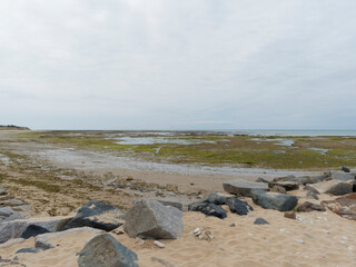 Île de Ré dans le Golfe de Gascogne. Paysage littoral Nord-Ouest, espaces naturels, plages et dunes à marée basse face à l'Océan Atlantique