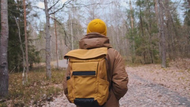 Backshot of a young traveller with yellow backpack walking in the forest. High quality 4k footage