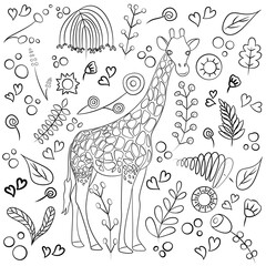 doodle vector drawing African animals giraffe and flowers