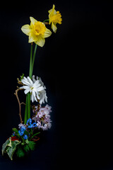 Stylish spring flower arrangement on a black background