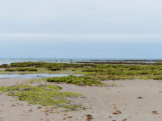 &Icirc;le de R&eacute; dans le Golfe de Gascogne. Littoral sauvage &agrave; mar&eacute;e basse le long de la pointe rocheuse Saint-Cl&eacute;ment-des-Baleines face &agrave; l'Atlantique