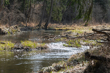 Landscape of a small winding river. Outdoor leisure