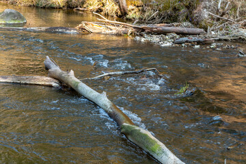 Landscape of a small winding river. Outdoor leisure