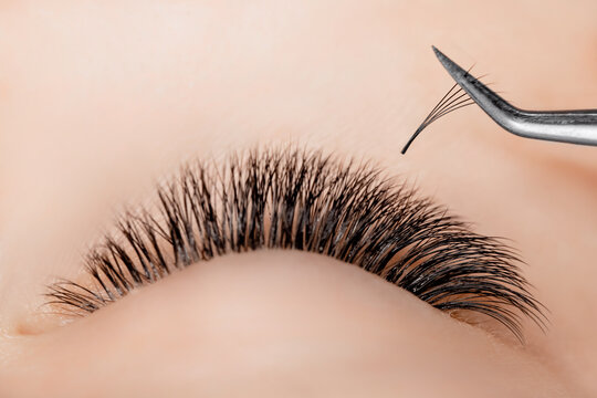 Process Eyelash extension procedure top view. Master tweezers fake 5d lashes beautiful woman eyes