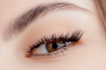 Fashion Portrait arabic young woman with long lash after Eyelash extension procedure in beauty salon